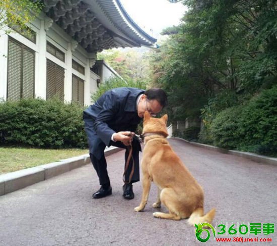 李明博上传前“第一狗”午睡照反响热烈(图)