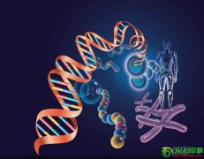 解读:关于人体20大惊人事实(组图)